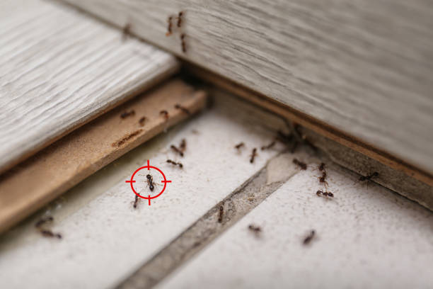 Best Pest Control Near Me in Danville, IN
