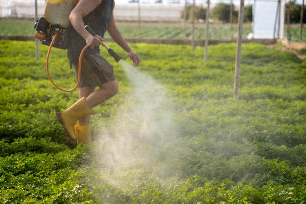 Best Wildlife Control Services  in Danville, IN