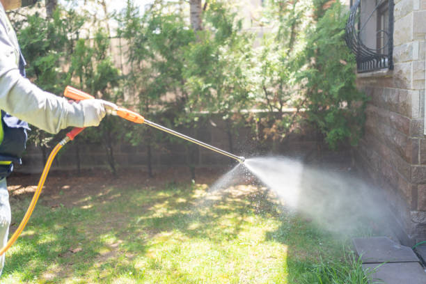 Spider Control Near Me in Danville, IN